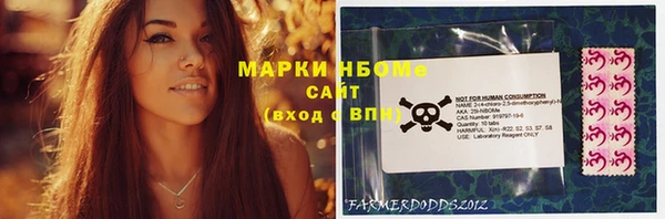 прущие грибы Абдулино