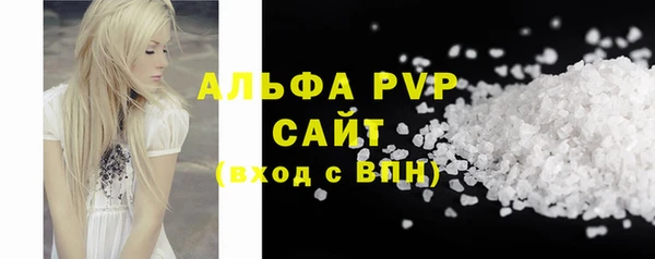 прущие грибы Абдулино