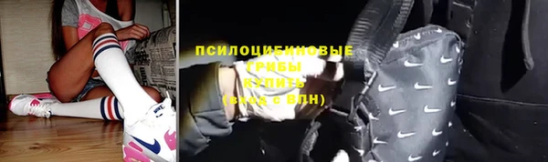 прущие грибы Абдулино