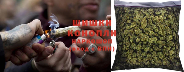 прущие грибы Абдулино