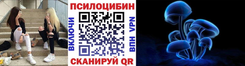 закладки  Псков  Псилоцибиновые грибы ЛСД 